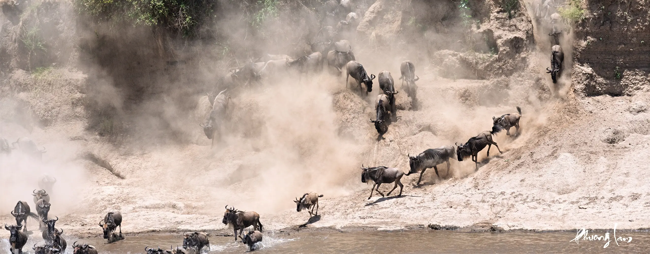 7-Day Serengeti Migration Camping Safari