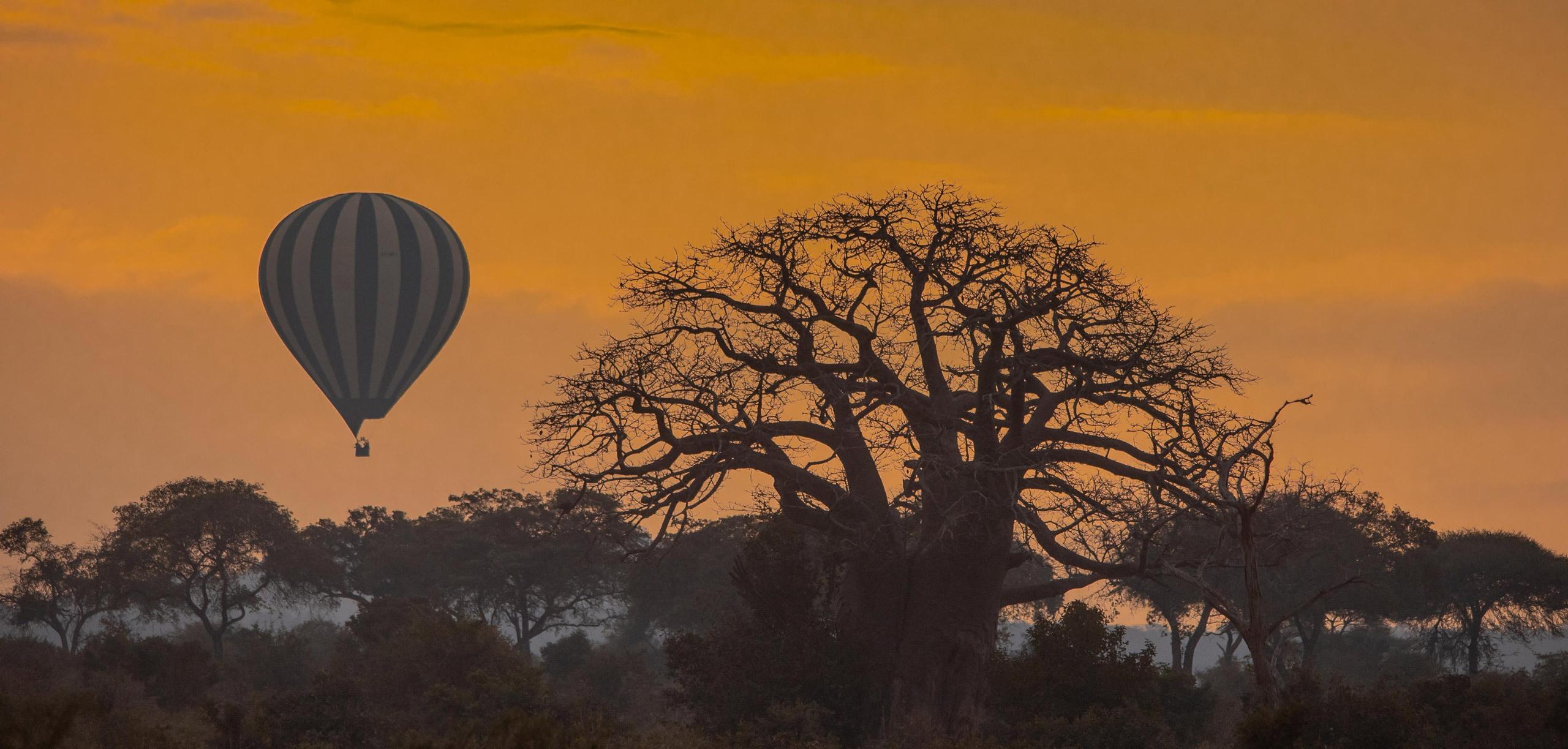 Tarangire Balloon Ride