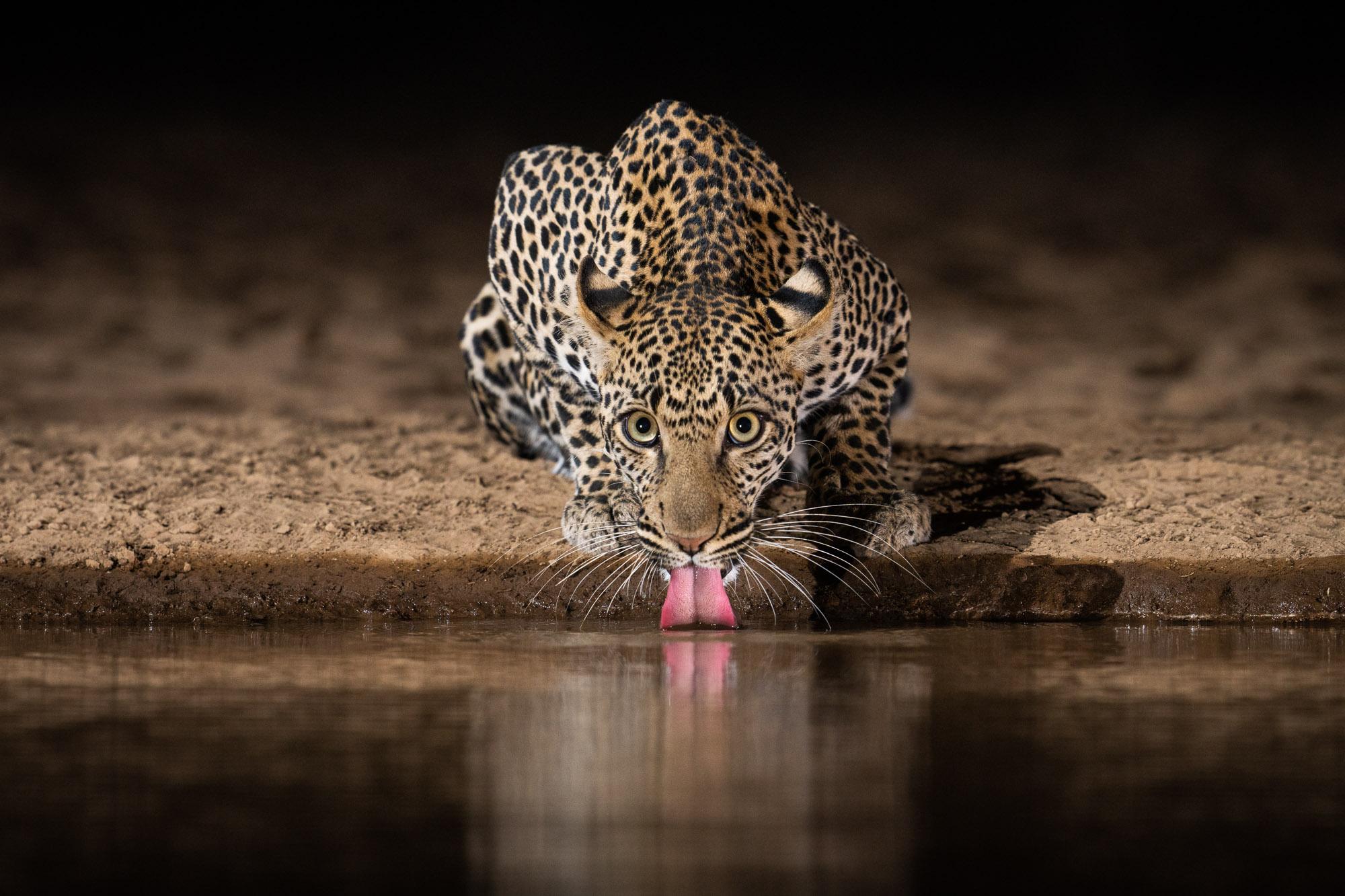 Night game drive in Tanzania