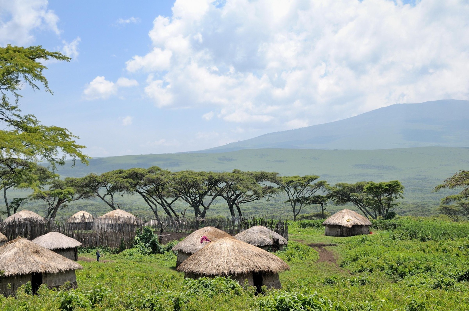 Visit a Maasai Village in Ngorongoro